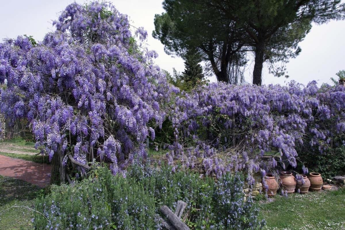 Villa Molino In Chianti à Mercatale Val Di Pesa Extérieur photo