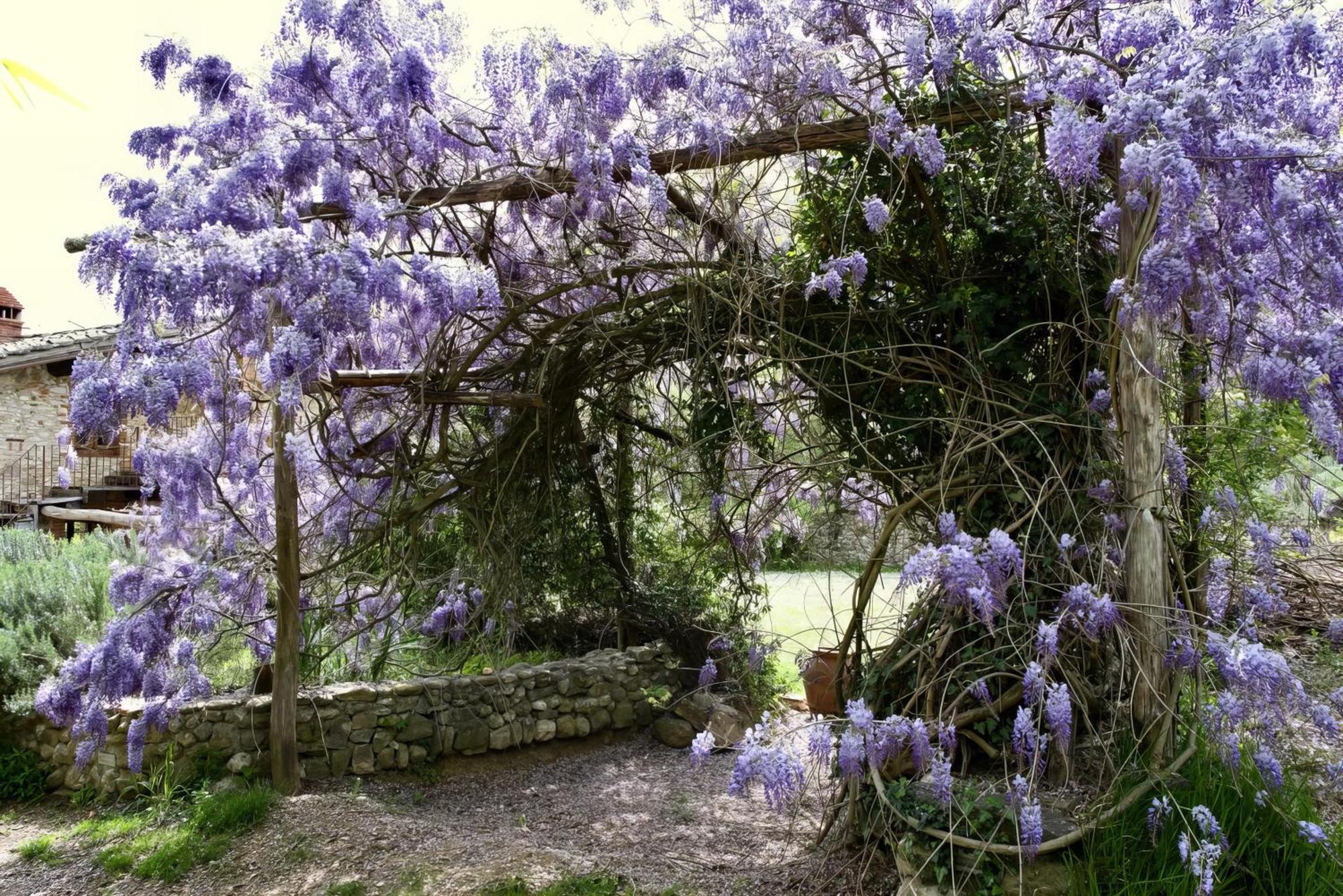 Villa Molino In Chianti à Mercatale Val Di Pesa Extérieur photo
